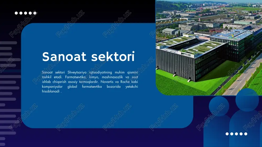 shveytsariya iqtisodiyoti - Page 3