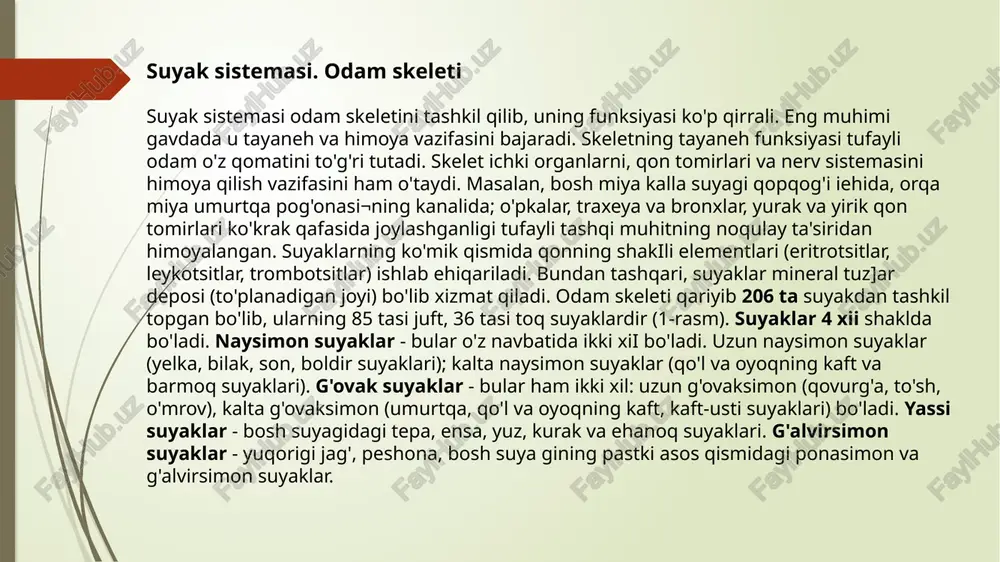 rganlar joylashadi. qovurg'alarning 12 jufti ham orqa tomondan ko'krak umurt¬qalariga birikadi. ulardan 7 jufti haqiqiy (chin) qovurg'alar de¬yilib, oldingi tomondan to'sh suyagining yon tomoniga o'zining tog'aylari yordamida bevosita birikadi. ulardan pastki uch jufti soxta qovurg'a deyilib, bular bir-biri bilan tog'ay yordamida o'za¬ra, so'ngra esa 7- qovurg'aning tog'ayiga birikadi. bulardan ham pastda joylashganlari (11-12- qovurg'alar) oldingi tomondan to'sh suyagiga birikmay, qorin muskullari orasida joylashadi. bular yetim qovurg 'alar deb ataladi. to'sh suyagi uch qismdan: yuqorigi - dasta, o'rta - tana qismi va pastki - qilichsimon o'simtadan iborat. umurtqa pogonasi. a- oldindan ko'rinishi: 1- bo'yin qismi; 2- ko'krak qismi; 3- bel qismi; 4- dumg'aza qismi; 5- dum qismi. b- yon tomondan ko'rinishi (o'rtasidan arralangan): 1- umurtqa pog'onasining kanali; 2- bo'yin lordozi; 3- bel lordozi: 4- ko'krak kifozi; 5- dumg'aza kifozi: ko'krak qafasi: 1-7- haqiqiy (chin) qovurg'alar; 8-10- soxta qovurg'alar; 11-12¬yetim qovurg'alar; 13- lo'sh suyagining qiiichsimon o'simtasi. qo'l suyaklari. qo'l suyaklari ikki qismga: …