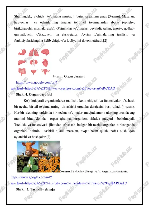 iylashish, ko'payish va boshqalar sodir bo'ladi. har bir mustaqil organizm o'z zurriyotlarini qoldiradi.ko'p hujayrali organizmlarda hujayralar, to'qimalar, organlar va organ tizimlari alohida organizm emas. faqatgina turli funktsiyalarni bajarishga ixtisoslashgan organlarning ajralmas tizimi alohida mustaqil organizmni tashkil qiladi. organizmning rivojlanishi, urug'lanishdan tortib to umrining oxirigacha ma'lum vaqtni oladi.har bir organizmning bu individual rivojlanishi ontogenez deb ataladi.organizm atrof-muhit bilan yaqin aloqada mavjud bo'lishi mumkin.[3] 6-rasm. populyatsiya-turlar darajasi https://www.google.com/url?sa=i&url=https%3%2f%2find=2ahukewjr5dgnipqfaxvgfraihxhvamuqraq shakl: 6. populyatsiya-turlar darajasi aholining o'ziga xos darajasi. uzoq vaqt davomida shu turning boshqa agregatlaridan farqli ravishda oralig'ining ma'lum qismida mavjud bo'lgan bir tur yoki guruh individlarining yig'indisi populyatsiyani tashkil qiladi. populyatsiya darajasida yangi turning bosqichma-bosqich paydo bo'lishiga yordam beradigan eng oddiy evolyutsion o'zgarishlar amalga oshiriladi (6-rasm). [2] 7-rasm.biogeotsenoz darajasi. https://www.google.com/url?sa=i&url=https%3a%2f%2fecoplanet777hrac0qr4kdeguiarccaq shakl: 7 biogeotsenotik daraja organizmlar to'plami turli xil turlari va tabiiy muhitning bir xil sharoitlariga moslashgan tashkilotning har xil murakkabligi biogeotsenoz yoki tabiiy hamjamiyat deb ataladi. biogeotsenoz tirik organizmlarning ko'plab turlarini va atrof-muhit …