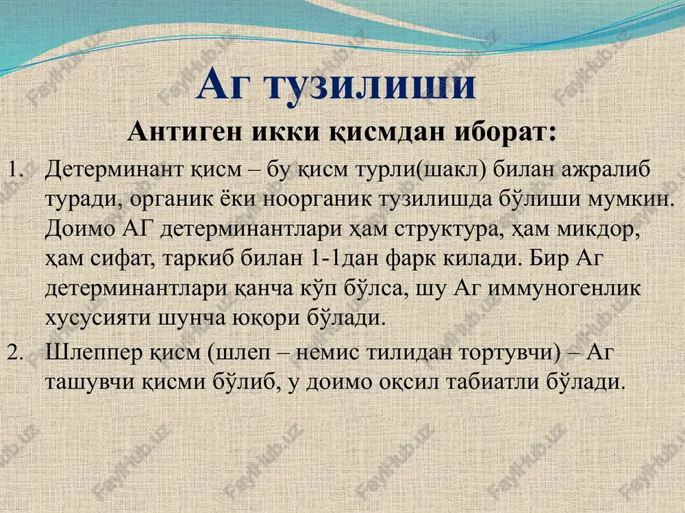 ag – mimikriya – (ingl. mimicry — o'xshash), antigen determinantlarining makroorganizm xujayralar oqsillarining oqsillar bilan o'xshash tuzilishga ega bo'lishi va buning natijasida immun tizim tomonidan yot modda deb tan olinmasligi. antitelolar (at) antitelo (anti - qarshi, telo - tana ma'nosini beradi). yot antigen organizmning maxsus xujayralari tomonidan bloklanadi va fagotsitozga uchraydi. antitelolar – bu maxsus ximoya oqsillari bo'lib (immunoglobulinlar), organizmda ag tushganidan keyin xosil bo'ladi. antitelolar ag bilan o'zaro bog'lanish xususiyatiga ega. tuzilishi bo'yicha antitelolar ikki zanjirdan iborat, bir juft engil zanjir, bir juft og'ir zanjir, zanjirlar o'zaro disulfid (-s-) bog'lar bilan birikan. antitelolar quyidagi qismlardan iborat: fc – fconstanta – o'zgarmas qism; fv – fvariabilis – variabel qism (o'zgarmas); fab – fatejen beytic – aktiv markaz; l – zanjir – (l-lite - engil), engil markaz (20.000 dalton); n – zanjir – (h-heavy – og'ir), og'ir zanjir (xar bir ig-larda og'irlik turlicha). sharnir qism – sharnir qismda ag determenantlari o'ziga …