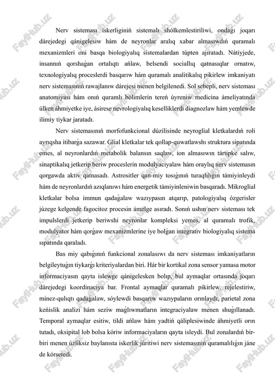 ı tek impulslerdi jetkerip beriwshi neyronlar kompleksi yemes, al quramalı trofik, modulyator hám qorǵaw mexanizmlerine iye bolǵan integrativ biologiyalıq sistema sıpatında qaraladı. bas miy qabıǵınıń funkcional zonalasıwı da nerv sisteması imkaniyatların belgileytuǵın tiykarǵı kriteriyalardan biri. hár bir kortikal zona sensor yamasa motor informaciyasın qayta islewge qánigelesken bolıp, bul aymaqlar ortasında joqarı dárejedegi koordinaciya bar. frontal aymaqlar quramalı pikirlew, rejelestiriw, minez-qulıqtı qadaǵalaw, sóylewdi basqarıw wazıypaların orınlaydı, parietal zona keńislik analizi hám seziw maǵlıwmatların integraciyalaw menen shuǵıllanadı. temporal aymaqlar esitiw, tildi ańlaw hám yadtiń qáliplesiwinde áhmiyetli orın tutadı, oksipital lob bolsa kóriw informaciyaların qayta isleydi. bul zonalardıń bir-biri menen úzliksiz baylanısta iskerlik júritiwi nerv sistemasınıń quramalılıǵın jáne de kórsetedi. nerv sisteması joqarı dárejede beyimlesiwsheńlik, yaǵnıy neyroplastiklik qásiyetine iye. bul biologiyalıq mexanizm jańa sinaptikalıq baylanıslardıń payda bolıwı, bar baylanıslardıń bekkemleniwi yamasa qayta baǵdarlanıwı arqalı úyreniw, yadtıń payda bolıwı hám de jaraqatlardan keyin funkcional tikleniwdi támiyinleydi. neyroplastiklik sebepli oraylıq nerv sistemasında ómir dawamında turaqlı …
