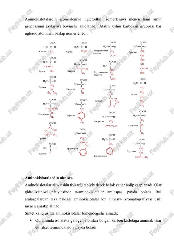 rtalıqta karboksil gruppasınıń deprotonlanıwı (h-atomi shiģip ketiwi) sebepli bir zaryadlı anionga aylanadı. kislotalı ortalıqta aminokislotalar eritpedegi h+ - ionlarınıń nh2 - gruppasına birigiwi nátiyjesinde kationģa aylanadı. qattı halda aminokislota molekulasınıń - cooh gruppasındaǵı h+ - ioni sol molekuladaǵı nh2 - gruppasına kóshedi (migraciyalanadı) hám molekula eki qarama-qarsı zaryadlı ionǵa aylanadı, bunday jaģdaydı bipolyar yamasa svitter ion (s) kórinis dep ataydı. "bipolyar ion"dı aminokislotalardıń "ishki duzları" dep te aytıladı. aminokislotalardıń eritpede bipolyar ion halında boliwi kislota yamasa silti muģdarına, anıǵıraģi eritpe ph mánisine baylanıslı boladı. aminokislotalar bipolyar ion halına ótetuģın eritpe ph inıń mánisine izoelektrlik noqat (pi) delinedi. mısalı: pi (gly) =5,97 demek, glicin molekulası suwlı eritpeniń ortalıǵı ph=5,97 bolganda bipolyar ion payda etedi. aminokislotalardıń pi mánisleri kestede keltirilgen. keń tarqalgan α-aminokislotalar r -ch (nh2) cooh. no nomi (qisqacha nomi) r pi 1. glitsin (glikokol (giy) h- 5,97 2. alanin (ala) snz– 6,02 3. valin (val)a (ch3)2—ch — 5,97 4.’ leysin …