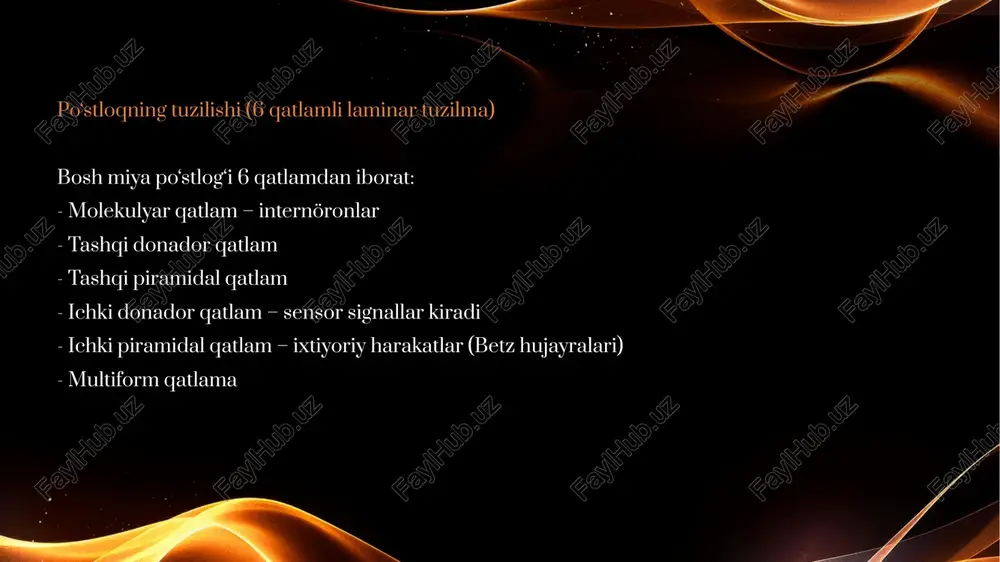 bosh miya yarim sharlar po'stlog'ining fiziologiyasi. bazal yadrolar - Page 3