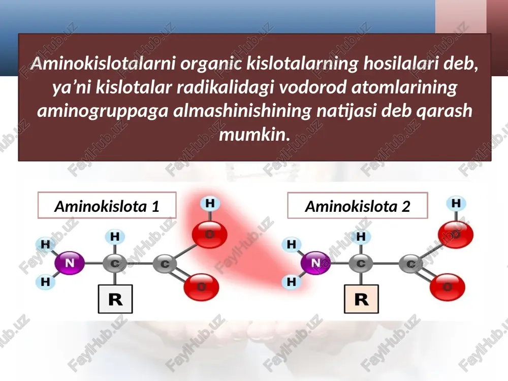 proteinogenliaminokislotalar - Page 3