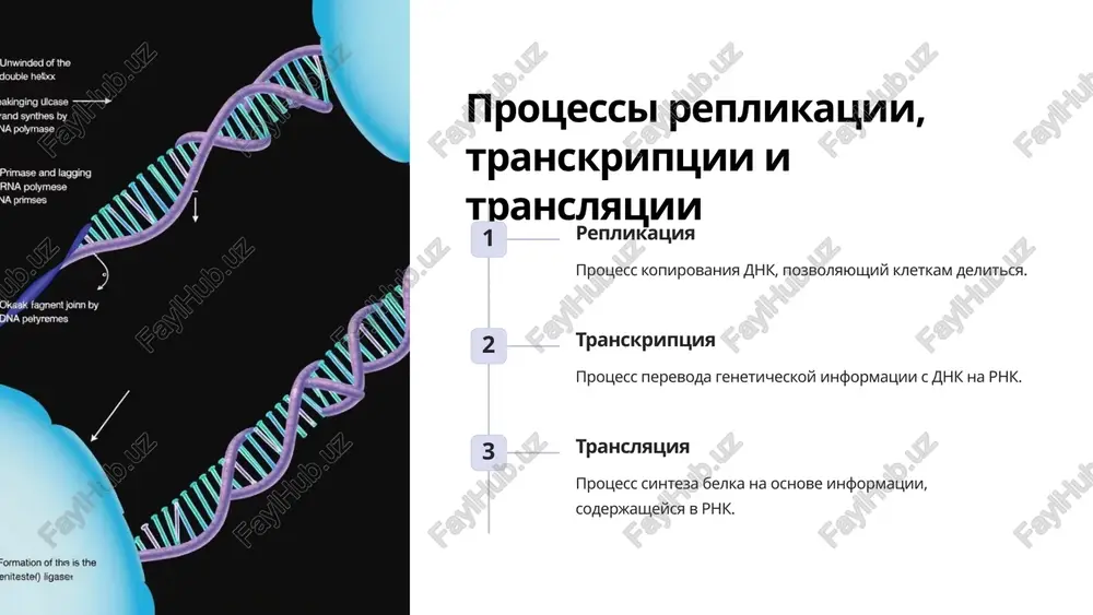 molekulyarnie osnovi nasledstvennosti - Page 3
