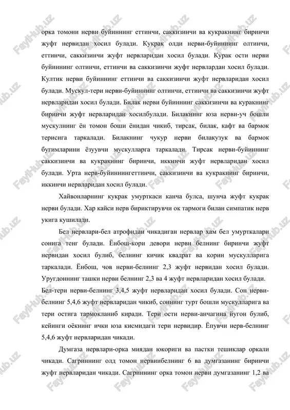 -belning 5,4,6 juft nervlaridan chikadi. dumgaza nervlari-orka miyadan yukorigi va pastki teshiklar orkali chikadi. sagrinning old tomon nerviibelning 6 va dumgazaning birinchi juft nervlaridan chikadi. sagrinning orka tomon nervi dumgazaning 1,2 va 3 juft nervlaridan chikadi. son terisining orka tomon nervi dumgazaning 1 va 2 juft nervlaridan chikadi. jinsiy a'zo nervlari dumgazaning z va 4 juft nervlaridan paydo buladi. dumgaza nervlariga shuningdek tugri ichakning orka tomon nervi, kuymich nervi, katta boldir nervi, muskul tarmogi, boldirning orka tomon terisi nervi, tizza bugimining pastki en tomon nervi, boldirning urta kismi terisi nervi, kichik boldir nervi, kichik boldir nervi, kichik boldirning yuza nervi kichik boldirning chukur nervi kiradi. dum nervlari orka miyadan 5-6 juft bulib chikib, ularning xammasi simpatik nerv stvolidan biriktiruvchi kulrang tarmok oladi. bosh miya nervlari 12 juft bulib, shularni 4 jufti katta miyadan kolgan 3 jufti uzunchok miyadan chikib, tananing bosh, buyin, kukrak kismlariga, uninchi jufti esa ichki organlarga tarkaladi. …
