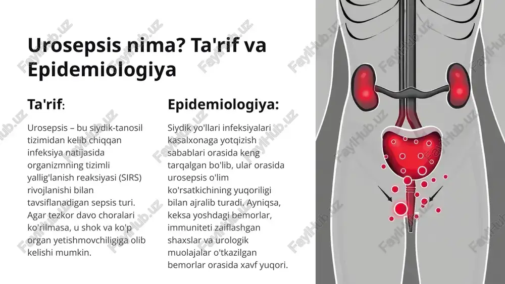 ta tashxis siydik yo'llari infeksiyasi belgilarida kechikmasdan shifokorga murojaat qilish. tezkor davolash kasallik aniqlangan zahoti agressiv antibiotikoterapiya va manba nazoratini boshlash. monitoring va keyingi parvarish davolanishdan keyin ham bemorning holatini muntazam nazorat qilish va qaytalanishning oldini olish. urosepsis og'ir, ammo oldini olish va davolash mumkin bo'lgan holatdir. tibbiyot xodimlari va aholi orasida bu borada bilim va xabardorlikni oshirish bemorlarning hayotini saqlab qolishda kalit hisoblanadi. 11 image1.png image2.png image10.png image3.png image4.png image5.png image6.png image7.png image8.png image9.png image11.png image12.png image13.png image14.png image15.png image16.png image17.png image18.png