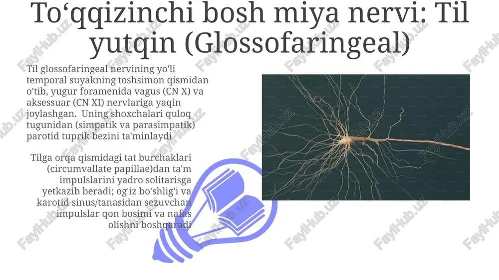 ari, ayniqsa yon tomonga qarash tekshiriladi. oculomotor (iii), trochlear (iv) va abducens (vi) nervlari – medial uzunlamasına fasikulus bilan birga – konjugat qarashni boshqaradi e'tiboringiz uchun rahmat @taqdimot_robot image4.jpg image5.jpg image6.jpg image7.jpg image8.jpg image9.jpg image10.jpg image11.jpg image12.jpg image1.jpeg image2.jpeg image3.jpeg
