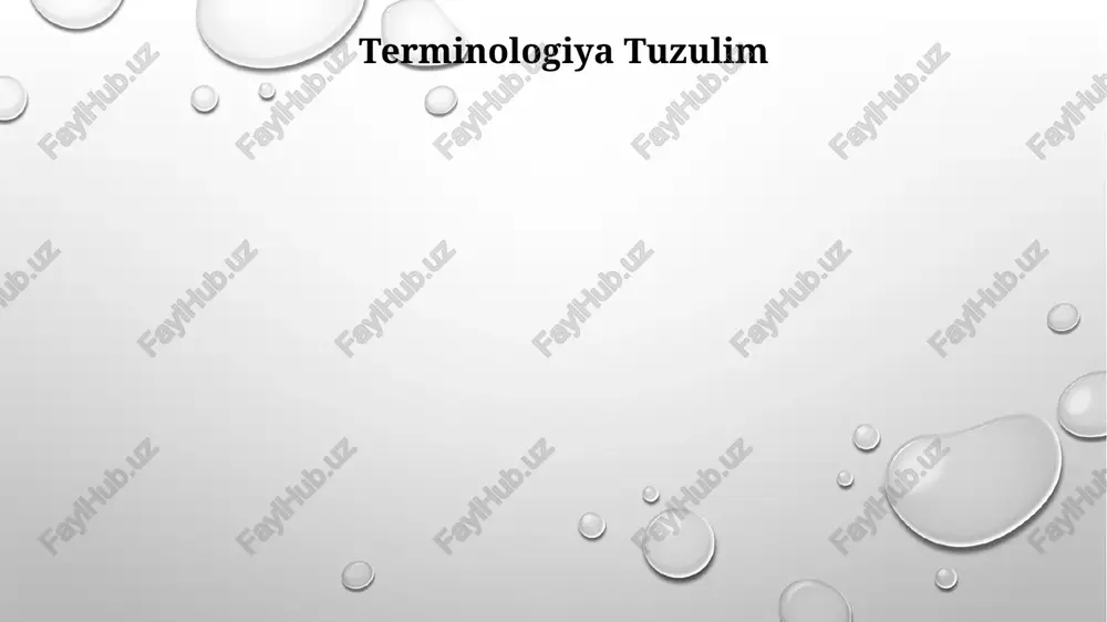 tilda terminalogiyaning rivojlanish asoslari - Page 3