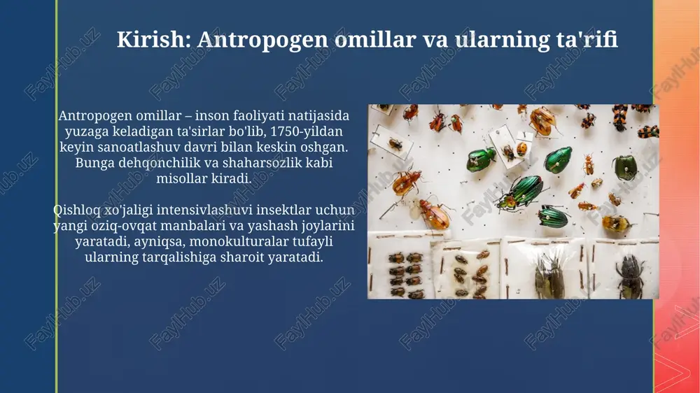 antropogen omillarning hashoratlar tarqalishidagi o'rni - Page 3