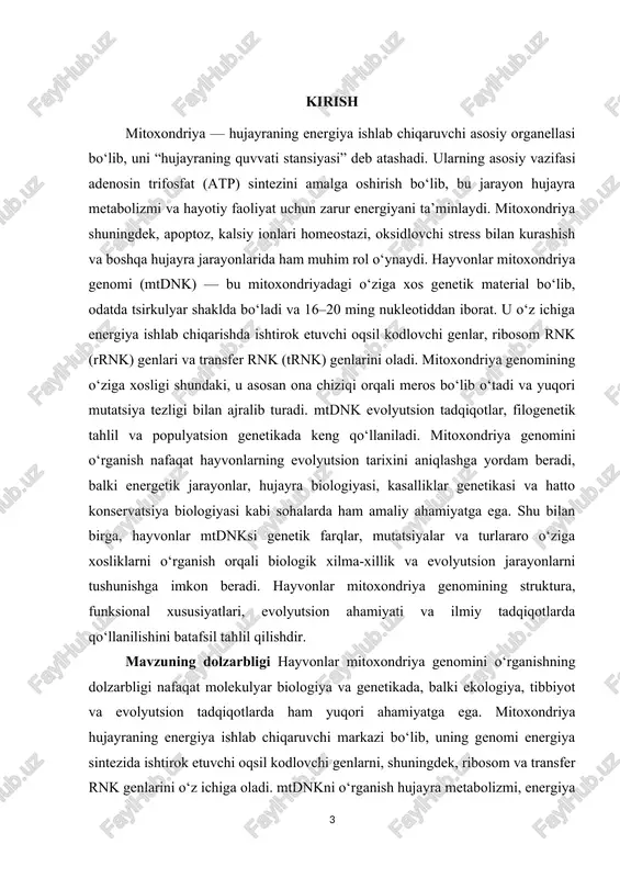 hayvonlar mitoxondriya genomini o‘rganish nafaqat fundamental biologik bilimlarni rivojlantirishga, balki amaliy genetika, ekologiya, tibbiyot va biotexnologiya sohalarida ham katta ahamiyatga ega bo‘lib, zamonaviy ilm-fan uchun dolzarb va istiqbolli yo‘nalish hisoblanadi. kurs ishining ahamiyati hayvonlar mitoxondriya genomini o‘rganishning ahamiyati biologiya, tibbiyot, ekologiya va evolyutsion tadqiqotlar sohalarida juda katta. birinchi navbatda, mitoxondriya genomi hujayraning energiya ishlab chiqarish jarayonini chuqurroq tushunishga imkon beradi, chunki u atp sintezida ishtirok etuvchi oqsil kodlovchi genlar, rrnk va trnk genlarini o‘z ichiga oladi. shu sababli mtdnkni tahlil qilish orqali hujayra metabolizmi va energiya balansidagi mexanizmlarni aniqlash mumkin bo‘ladi. ikkinchidan, mitoxondriya genomi evolyutsion tadqiqotlarda va filogenetik tahlillarda muhim vosita sifatida xizmat qiladi. ona chiziqi orqali meros bo‘lishi va yuqori mutatsiya tezligi mtdnkni tur va populyatsiya darajasidagi genetik farqlarni aniqlashda ishonchli manbaga aylantiradi. bu esa hayvon turlarining kelib chiqishi, evolyutsion munosabatlari va populyatsiya strukturasini o‘rganishga imkon yaratadi. uchinchidan, ekologiya va konservatsion biologiya sohasida mtdnk tadqiqotlari xavf ostidagi turlarni identifikatsiyalash, …