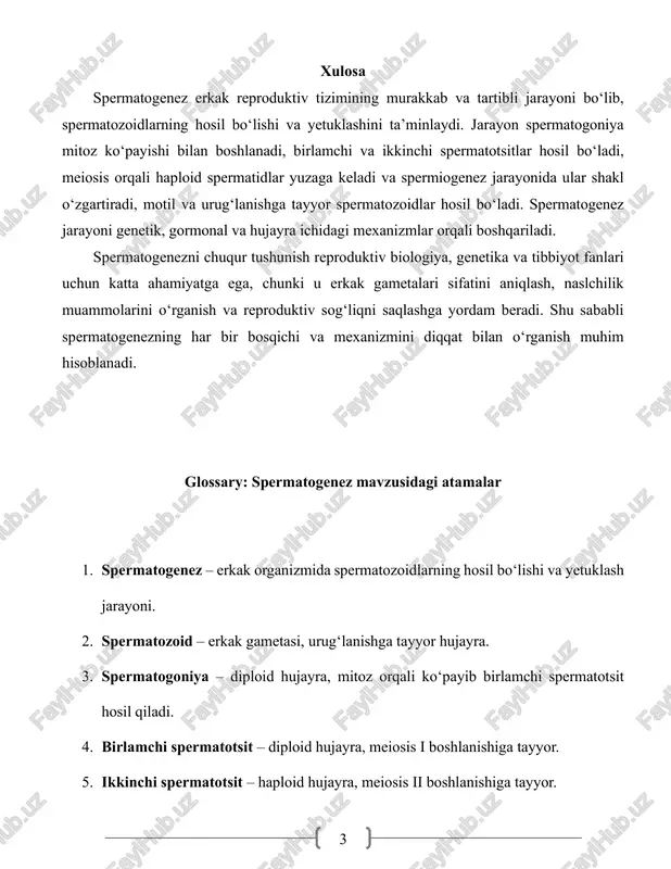 aga keladi va spermiogenez jarayonida ular shakl o‘zgartiradi, motil va urug‘lanishga tayyor spermatozoidlar hosil bo‘ladi. spermatogenez jarayoni genetik, gormonal va hujayra ichidagi mexanizmlar orqali boshqariladi. spermatogenezni chuqur tushunish reproduktiv biologiya, genetika va tibbiyot fanlari uchun katta ahamiyatga ega, chunki u erkak gametalari sifatini aniqlash, naslchilik muammolarini o‘rganish va reproduktiv sog‘liqni saqlashga yordam beradi. shu sababli spermatogenezning har bir bosqichi va mexanizmini diqqat bilan o‘rganish muhim hisoblanadi. glossary: spermatogenez mavzusidagi atamalar 1. spermatogenez – erkak organizmida spermatozoidlarning hosil bo‘lishi va yetuklash jarayoni. 2. spermatozoid – erkak gametasi, urug‘lanishga tayyor hujayra. 3. spermatogoniya – diploid hujayra, mitoz orqali ko‘payib birlamchi spermatotsit hosil qiladi. 4. birlamchi spermatotsit – diploid hujayra, meiosis i boshlanishiga tayyor. 5. ikkinchi spermatotsit – haploid hujayra, meiosis ii boshlanishiga tayyor. 4 6. spermatid – haploid hujayra, shakl o‘zgartirish bosqichiga tayyor. 7. spermiogenez – spermatidlarning shakl o‘zgartirib spermatozoidga aylanish jarayoni. 8. mitoz – diploid hujayralar bo‘linishi, ko‘payish uchun zarur. 9. …