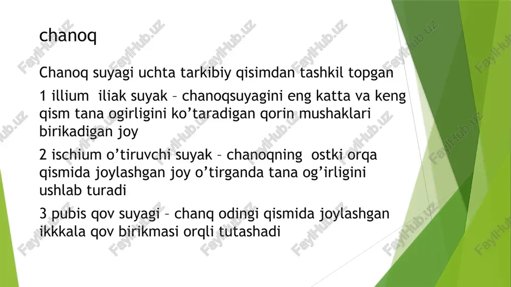 ish) suyaklar va bo'g'imlarni mustahkamlashga yordam beradi. bu, ayniqsa, oyoq va chanoq suyaklarining kuchini oshiradi. bo'g'imlar va mushaklarni mustahkamlash: suyaklar, bo'g'imlar va mushaklar bir-biriga bog'langan tizim sifatida ishlaydi. jismoniy mashqlar bo'g'imlarning harakatliligini oshiradi va ular atrofidagi mushaklarni kuchaytiradi. bu, o'z navbatida, chanoq va oyoq suyagining shaklini saqlashga yordam beradi suyaklarning moslashuvchanligini oshirish: sport faoliyatlari suyaklar va bo'g'imlarning elastikligini oshiradi. har bir harakatda chanoq va oyoq suyaklarining moslashuvchanligi va zaiflashuvi kamayadi, bu esa jarohatlar xavfini pasaytiradi. oyoq suyaklarining jarohatlanishi: ba'zi sport turlari (masalan, yugurish, basketbol, futbolda) oyoq suyaklari va bo'g'imlarida ortiqcha yuklar keltirib chiqarishi mumkin. bu jarohatlar, shu jumladan, stress-suyaklari sindromi, ligamentlar va tendonlarning yirtilishi, oyoq bo'g'imlarining eskirishiga olib kelishi mumkin. oyoq suyaklarining jarohatlanishi: ba'zi sport turlari (masalan, yugurish, basketbol, futbolda) oyoq suyaklari va bo'g'imlarida ortiqcha yuklar keltirib chiqarishi mumkin. bu jarohatlar, shu jumladan, stress-suyaklari sindromi, ligamentlar va tendonlarning yirtilishi, oyoq bo'g'imlarining eskirishiga olib kelishi mumkin. chanoq suyagining og'irligi: og'irlik ko'tarish …