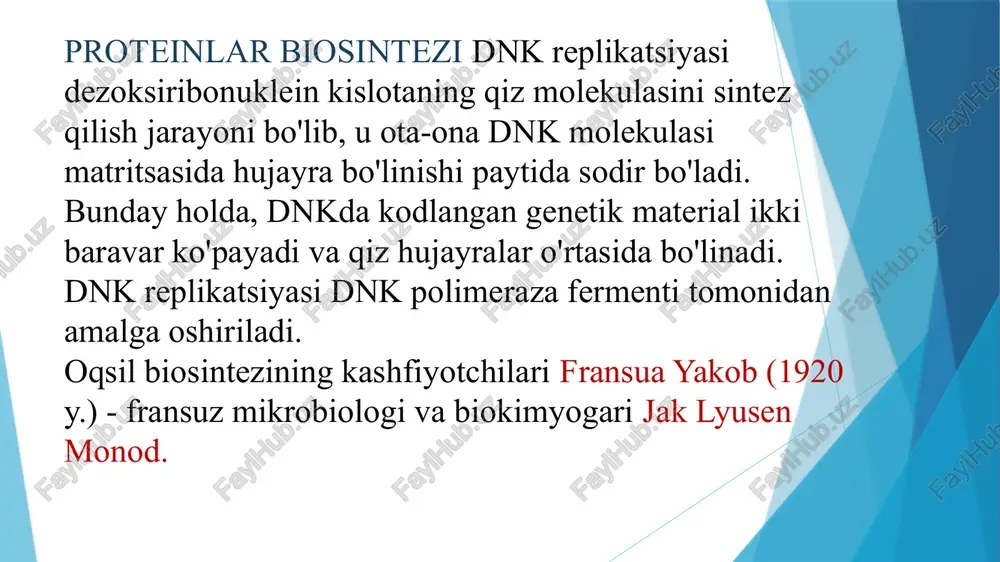 i. 64 tripletdan 3 tasi — uaa, uag, uga aminokislotalarni kodlamaydi va polipeptid zanjir sintezi tugaganini bildiradi. ular terminatsiya signalini beradi. oqsillarning biologik vazifasi asosan aminokislotalarning oqsil molekulasi­dagi o'rni ya'ni, ularning ketma-ketligi bilan aniqlanadi. binobarin, bunday molekulalar biosintezi oldindan belgilangan reja bo'yicha amalga oshishi kerak. bunday reja dnk molekulasida 4 xil nukleotidlarning yordamida yozilgan bo'lib, u oqsil molekulasining nusxasi yoki qolipi deb yuritiladi. 20 xil aminokislotaning dnk molekulasidagi 4 xil nukleotidlar yordamida ifodalanishi genetik kod deb ataladi. har bir aminokislota 3 ta nukleotidning birikishidan hosil bo'lgan triplet kod yordamida ifodalanadi. 20 ta aminokislotani ifodalash uchun 61 ta tripletli koddan foydalaniladi. demak, bitta aminokislota 2 va undan ortiq kod yordamida ifodalanadi. kodlarning umumiy soni 64 (43 = 4 • 4 • 4) taga teng. qolgan 3 ta kod oqsil sintezining boshlanishi va tugallanishini bildiradi. aminokislota bilan tripletli kodining mos kelishini t-rnk belgilaydi. oqsil molekulasi sintezi tugallangach, polipeptid zanjir ribosomadan ajraladi. ribosoma …