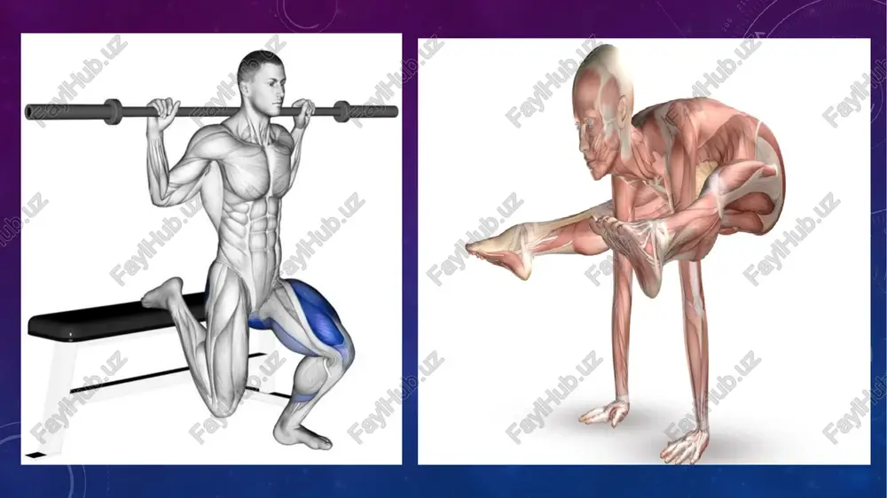 rf qilinib tezlikdan yutiladi. foydalanilgan adabiyotlar !!! a. ahmedov, x. rasulovning ,, odam anatomiyasi va bolalar anatomiyadi asoslari bilan ʼʼ eʼtiboringiz uchun raxmat image3.png image4.jpeg image5.jpeg image6.jpeg image7.jpeg image8.jpeg image9.jpeg image10.jpeg image11.jpeg image12.jpeg image13.jpeg image14.jpeg image15.jpeg image16.jpeg image17.jpeg image18.jpeg /docprops/thumbnail.jpeg