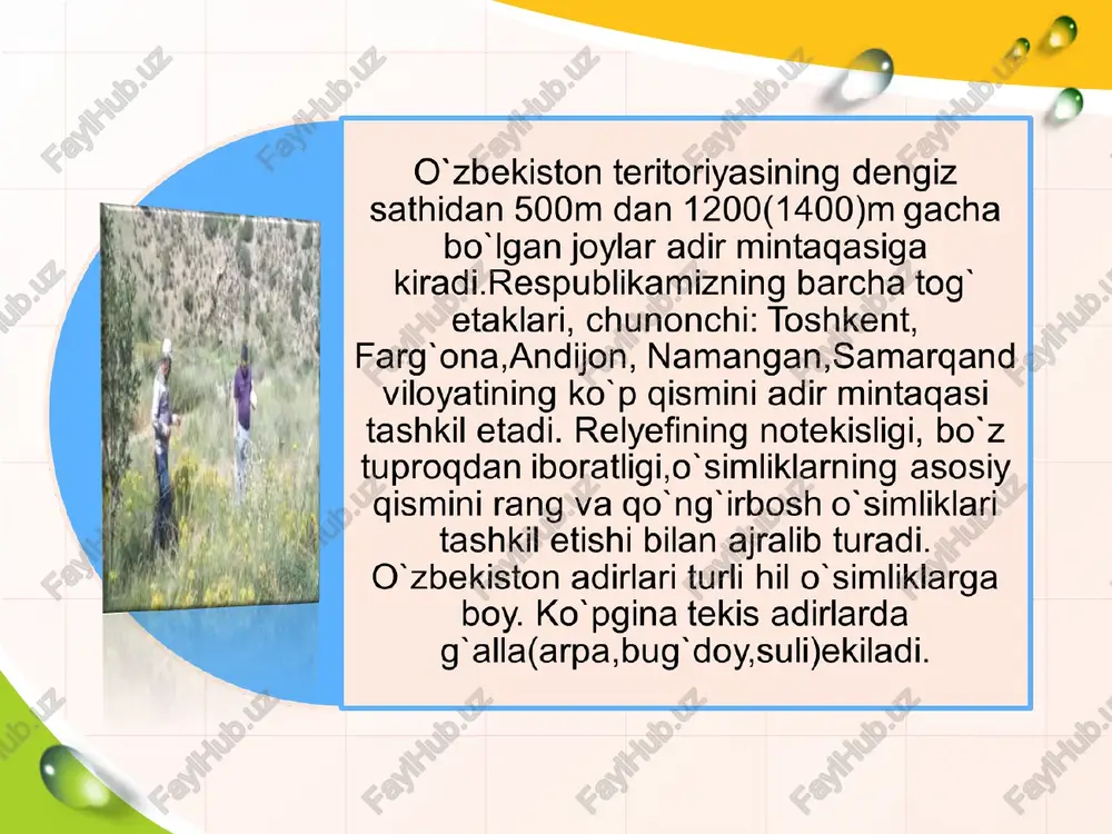adir o’simliklari - Page 3
