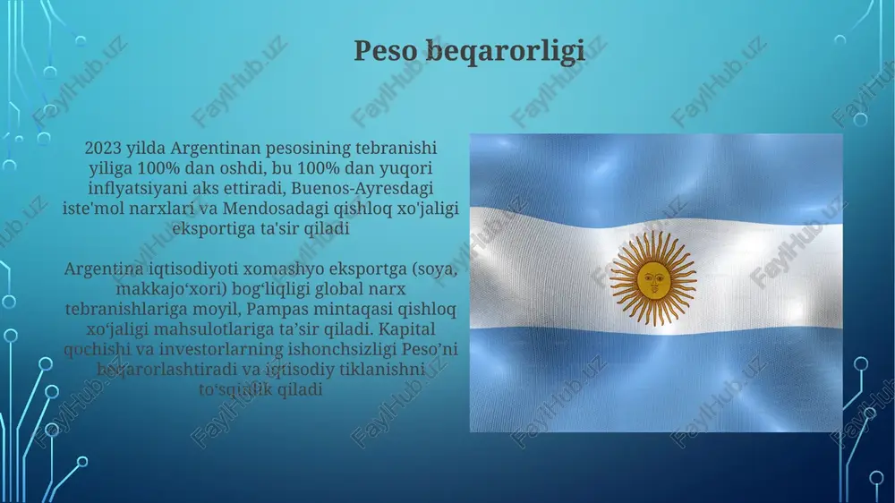 argentina iqtisodiyoti - Page 3