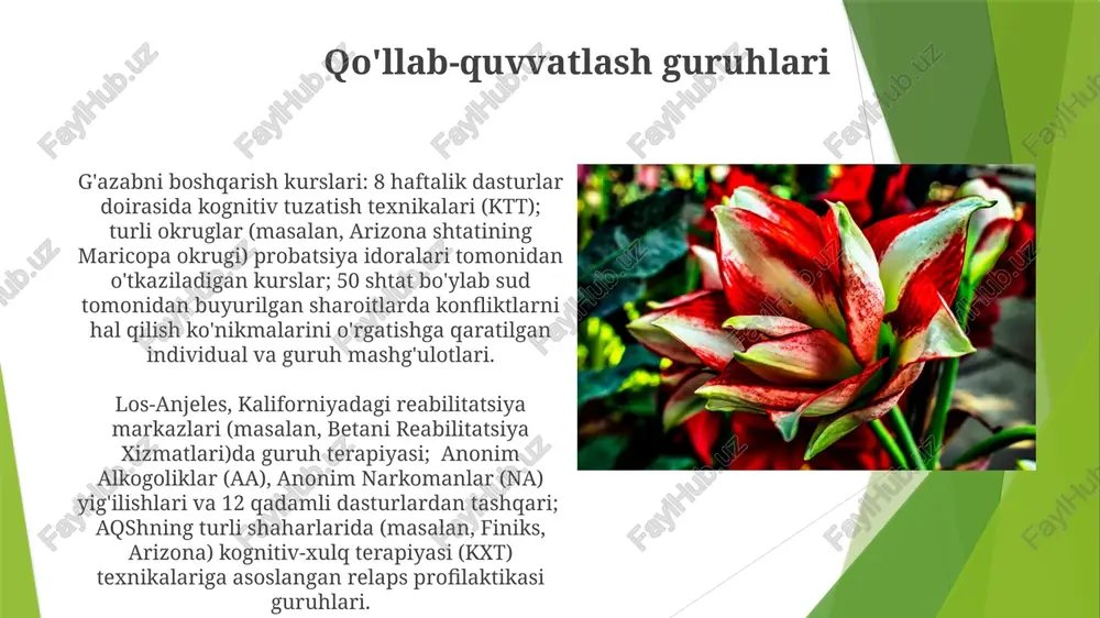 xona (seshanba va payshanba) shaxsiylashtirilgan o'qitish shaxsiylashtirilgan o'qitish texnologiyalar (masalan, khan academy, ixl) yordamida har bir o'quvchining ehtiyojlariga moslashtiriladi (masalan, chikagodagi 7-sinf o'quvchisi kasrlarni o'rganishda qiynalmoqda) va differentsiallashtirilgan ta'lim usullari (masalan, nyu-york shahridagi kichik guruhlarda qo'shimcha darslar, onlayn moslashuvchan baholash) qo'llaniladi. yozuv maktabi jamoa kollejlardagi (masalan, santa monika kolleji) esl (ikkinchi til sifatidagi ingliz tili) kurslari, suhbatlashuv malakasi va akademik ingliz tili darajasini oshirishga qaratilgan, yevropa til standartlari doirasida boshlang'ich (a1), o'rta (b1) va yuqori (c1) darajalarni o'z ichiga oladi. florida shtatining boshlangʻich maktablarida davlat standartlashtirilgan testlarda 25-persentil past natija koʻrsatgan oʻquvchilar uchun toʻgʻrilovchi oʻqish dasturlari (fonika asosidagi, orton-gillingham usullari). chikago davlat maktablarining 7-sinf oʻquvchilari uchun matematikada aniq koʻnikmalar boʻyicha (kasrlarni koʻpaytirish, geometriya teoremalari) intervension dasturlar. shaxsiy mashg'ulotlar mamlakat bo'ylab turli test markazlarida testga tayyorgarlik (sat, act, gcse) va akademik murabbiylik (tashkiliy ko'nikmalar, vaqtni boshqarish, o'qish odatlari) kabi ixtisoslashtirilgan tuzatish kurslari mavjud matematika (algebra i, geometriya, analiz), fan (biologiya, kimyo, …