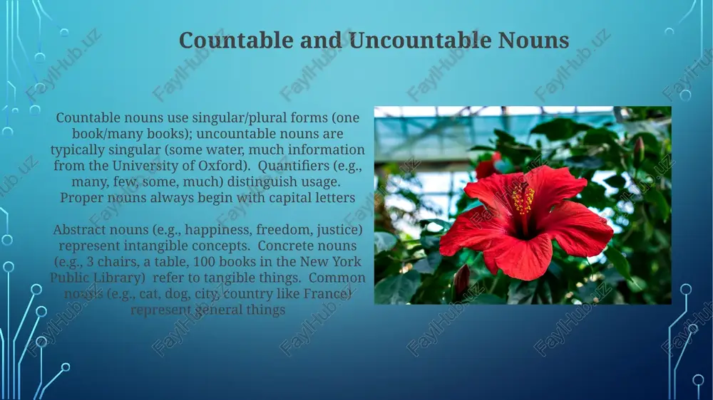 types of nouns - Page 3