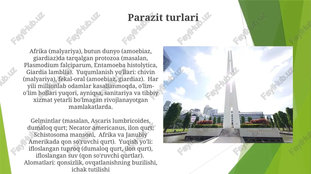 eltirib chiqaradigan plasmodium falciparum; butun dunyo bo'ylab amoebiazni keltirib chiqaradigan entamoeba histolytica) mezbon (masalan, odamlar, hayvonlar, o'simliklar) hisobidan foyda ko'radigan organizmlardir parazitizm (simmbioz turi): parazit (masalan, odam ichaklaridagi lenta qurtlari), mezbon (masalan, odamlar, itlar, mushuklar) va muhit (masalan, tropik iqlim)ni o'z ichiga oladi. yuqum yo'llari turlicha (masalan, fekal-oral, vektor orqali) mezbon-parazit munosabatlari xost-parazit ko-evolyutsiyasi parazitning zaharliligini shakllantiradi. kuchli xost immun tizimi parazitning yuqumli muvaffaqiyatini kamaytirishi mumkin (masalan, qizamiq virusidan emlash orqali global o'limni kamaytirish) parazit infektsiyalarining oldini olish parazitlarning yuqishi parazitlar turli yo'llar bilan yuqadi: fekal-oral (masalan, rivojlanayotgan mamlakatlarda ifloslangan suv orqali giardia lamblia), vektor orqali (masalan, saxara afrikasida anopheles chivinlari orqali plasmodium falciparum) va to'g'ridan-to'g'ri aloqa (masalan, butun dunyo bo'ylab maktablarda yaqin aloqa orqali pediculus humanus capitis bitlari) parazitizm, bir organizm (parazit) ikkinchisidan (xoʻjayin) foyda olgan simbiotik munosabat, turli xil strategiyani namoyon etadi. yomon sanitariya sharoitlari boʻlgan hududlarda keng tarqalgan ascaris lumbricoides (dumaloq qurt) kabi ichak parazitlari ozuqa moddalarining …