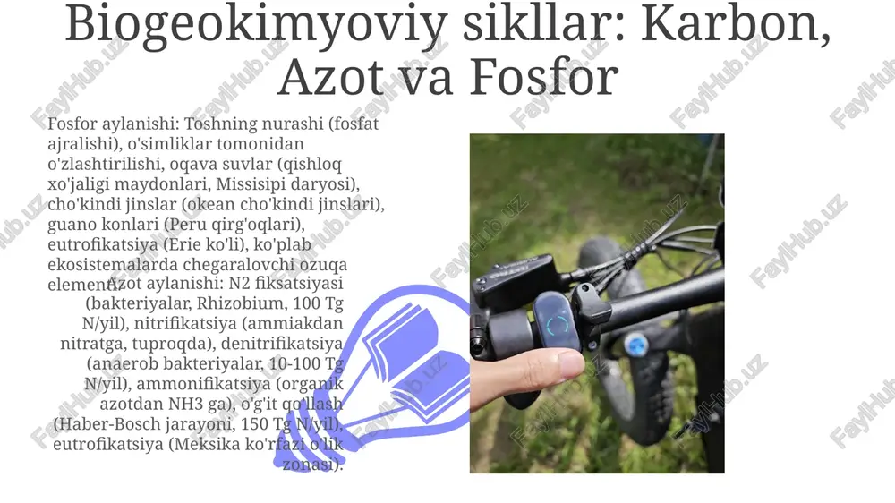 loqlarda 500 g/m²), va birlamchi produktivlik (daryo og'zlarida 1000 g/m²/yil) ekosistema barqarorligi va turg'unligini aniqlaydi. energiya oqimi, trofik darajalar (produsentlar, konsumentlar, reducentlar) orqali va moddalar aylanishi (suv, minerallar) asosiy ekosistema xususiyatlaridir. e'tiboringiz uchun rahmat @taqdimot_robot image4.jpg image5.jpg image6.jpg image7.jpg image8.jpg image9.jpg image10.jpg image11.jpg image12.jpg image1.jpeg image2.jpeg image3.jpeg