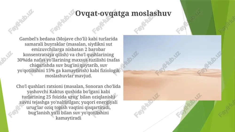 cho'l qushlarining yashash muhitga moslanishi - Page 3