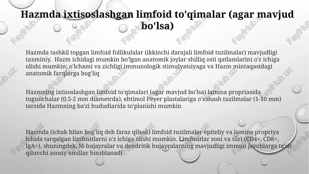 ishi kerak. e'tiboringiz uchun rahmat @taqdimot_robot image1.png image2.png image3.png