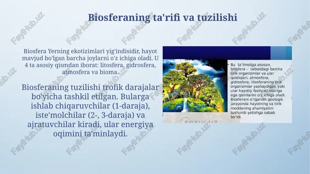 biosfera - Page 3