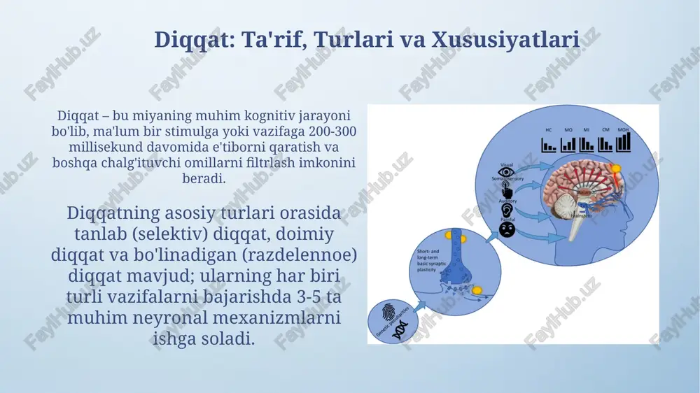 diqqatning neyrofiziologik asoslari - Page 3