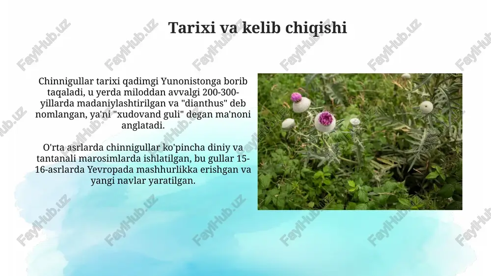 himoyalangan holda 2 yilgacha saqlanishi mumkin. chinnigullar yog'i zich yopilgan qorong'i shisha idishlarda saqlanishi kerak, optimal harorat 15 dan 25 daraja selsiygacha, bevosita quyosh nurlaridan uzoqda bo'lishi shart. zamonaviy tibbiyotda qo'llanilishi gvozdika moyi zamonaviy tibbiyotda antiseptik va og'riq qoldiruvchi vosita sifatida stomatologiyada qo'llaniladi, ayniqsa, tish og'rig'ini yengillashtirish uchun 0,5-1% eritma shaklida ishlatiladi. ba'zi tadqiqotlar gvozdika ekstraktining qondagi qand miqdorini tartibga solishda yordam berishi mumkinligini ko'rsatadi, ammo bu borada 2-bosqich klinik sinovlar hali davom etmoqda. boshqa o'simliklar bilan kombinatsiyasi qalampirmunchoq va moychechak kombinatsiyasi terini yallig'lanishga qarshi davolashda sinergik ta'sir ko'rsatishi mumkin, bu esa 2 ta o'simlikning birikmasini dermatologik kremlarda foydali qiladi. qalampirmunchoq va zanjabil birgalikda ovqat hazm qilish tizimini yaxshilash uchun ishlatilishi mumkin, ularning o'ziga xos xususiyatlari 1+1=3 tamoyili bo'yicha oshqozon-ichak traktiga yordam beradi. istiqbolli tadqiqot yo'nalishlari yangi *in vitro* tadqiqotlar 20 xil fenolik birikmalarni ajratib olish va farmakologik faolligini, masalan, saratonga qarshi ta'sirini o'rganish orqali klinik ahamiyatini baholashga qaratilgan. molekulyar …