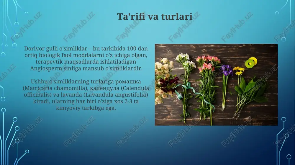 saqlash dori o'simliklarining barqarorligini ta'minlash uchun ularni o'sadigan joylarda 5-10% miqdorida yig'ish tavsiya etiladi, bu esa tabiiy populyatsiyaning tiklanishiga imkon beradi. dorivor o'simliklarni saqlashda harorat 15-25°c darajada, namlik 60% dan oshmagan joylarda saqlash kerak, bu esa ularning terapevtik xususiyatlarini saqlashga yordam beradi. qonunchilik va tartibga solish o'zbekistonda dori vositalari to'g'risidagi qonun, 2016-yil 26-dekabrda qabul qilingan, shifobaxsh o'simliklar asosidagi preparatlar ishlab chiqarish va sotishni tartibga soladi, sifat nazoratini ta'minlaydi. farmatsevtika faoliyatini litsenziyalash tartibi o'zbekiston respublikasi vazirlar mahkamasining 2017-yil 31-martdagi 164-sonli qarori bilan belgilangan bo'lib, dori o'simliklarini yetishtirishni ham qamrab oladi. xulosa xulosa shuni ko'rsatadiki, medicinal o'simliklar ming yillar davomida turli xil kasalliklarni davolashda 80% dan ortiq samarali ekanligi isbotlangan. yangi tadqiqotlar shuni tasdiqlaydiki, medicinal o'simliklarning tarkibidagi 250000 dan ortiq fitokimyoviy moddalar farmatsevtika sanoati uchun istiqbolli manba hisoblanadi. kelajakdagi istiqbollar genetik modifikatsiyalash orqali 20-30% yuqori terapevtik birikmalarni ishlab chiqarish imkoniyatini o'rganish, dori vositalarining samaradorligini oshirish istiqbollari mavjud. nanotexnologiyalar yordamida o'simlik ekstraktlarini maqsadli …
