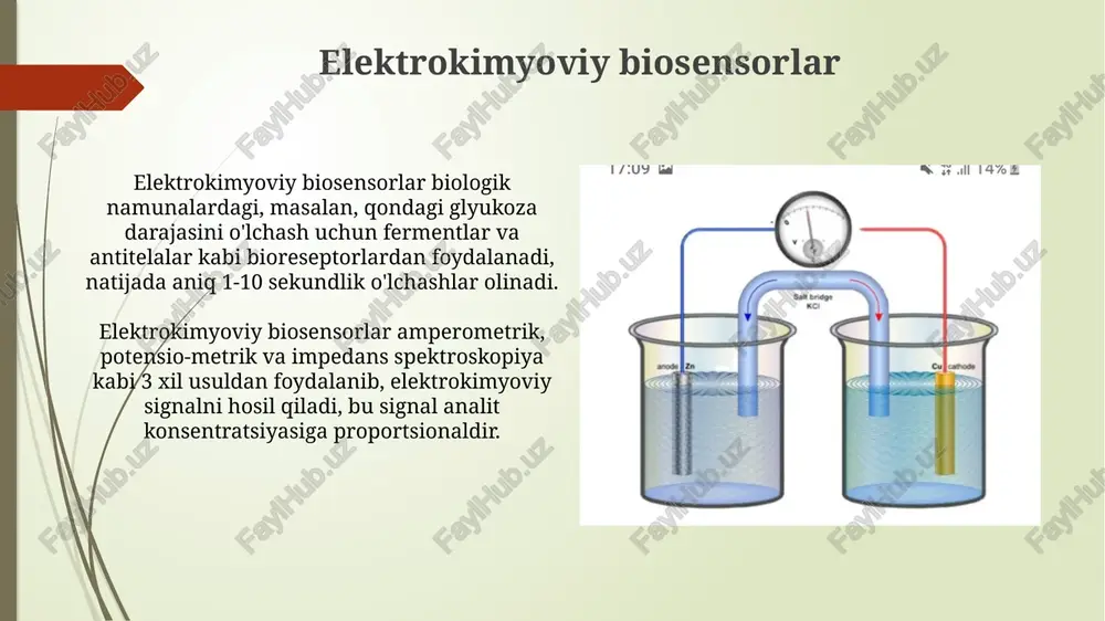 elektrokimyoviy biosensorlar - Page 3
