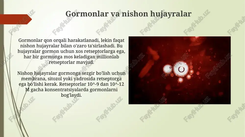 garmonlar va nishon hujayralar - Page 3