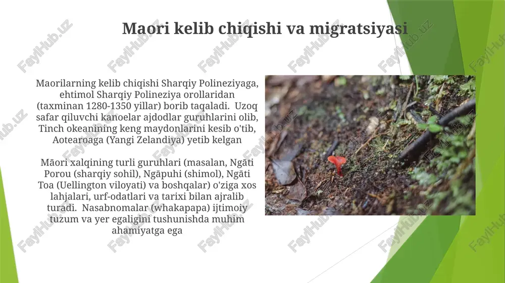 vellington va kraistcharchdagi 25-40 yosh oraligʻidagi shahar maorilarining oʻzligini, migratsiya naqshlarini va globalizatsiyaning anʼanaviy amaliyotlarga taʼsirini oʻrganishga taʼsir qilmoqda an'anaviy maori dini va ma'naviyati ranginui va papatūānuku afsonasi asosida yaratilish mifologiyasi, yer hosil bo'lishini ta'sir qilgan; marosim va uchrashuvlar o'tkaziladigan marae (majlisgohlar) ma'naviy hayot markazida; te po (o'liklar olami) va reenkarnatsiyaga ishonish, avlodlar davomida ma'naviy uzluksizlikni ta'kidlaydi. maori ta'limi māori ta'limi kura kaupapa māori (grammatika maktablari), ruia te reo (tilni qayta tiklash) tashabbuslari orqali 100,000 dan ortiq o'quvchini qamrab olgan bo'lib, te reo māori va tikanga māori (urf-odatlar) dan foydalanadi. 1840 yildagi waitangi shartnomasi maori ta'limi va etnologiya tadqiqotlariga sezilarli ta'sir ko'rsatdi maori tirikchilik strategiyasi resurslarni boshqarish usullari juda muhim edi. barqaror amaliyotlarga nazorat ostida yondirish (ov va bog'dorchilik uchun), tanlab yig'ish va tuproq unumdorligini oshiruvchi yetishtirish texnologiyalari kiradi. mavsumiy sikllar haqidagi keng bilimlar resurslarni olishni boshqargan; muqaddas joylar (masalan, vay-o-tapu) muhim resurslarni himoya qilgan maorilar yangi zelandiyaning turli muhitlarida …