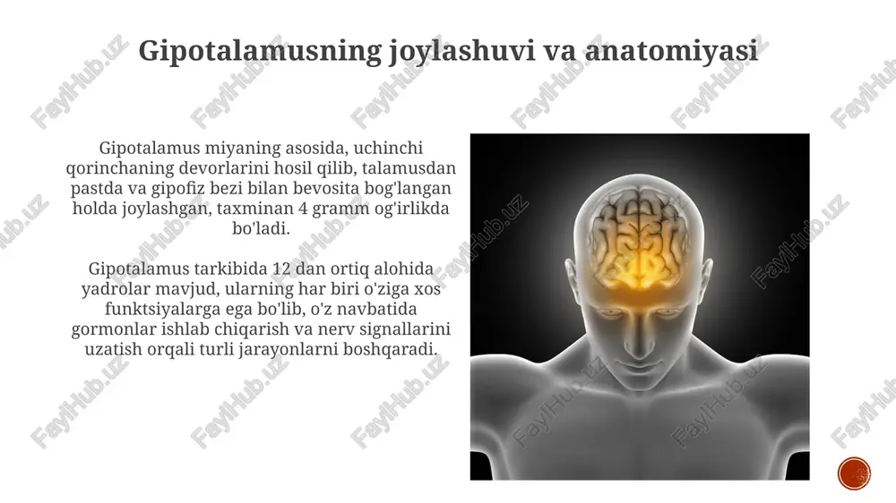 rab belgilanadi. agar gipotalamus o'smasi mavjud bo'lsa, jarrohlik usuli, masalan, transsfenoidal rezektsiya qo'llanilishi mumkin, bu o'simtani olib tashlash va bosimni kamaytirishga yordam beradi, shu bilan funksiyani tiklaydi. gipotalamus sohasidagi tadqiqotlar yaqinda o'tkazilgan tadqiqotlar oreksin neyronlarining rolini ko'rib chiqdi, ular uyqu/uyg'oqlikni tartibga solishda va narkolepsiya patofiziologiyasida ishtirok etadi, bu bilan yangi davolash usullarini taklif etadi. genetik tadqiqotlar mc4r retseptorining gipotalamusda semirishni tartibga solishdagi muhim ahamiyatini ochib berdi, bu mc4r yo'lini maqsad qilgan dori vositalarini ishlab chiqishga olib keldi. gipotalamus sohasidagi yangi ishlanmalar yaqinda o'tkazilgan tadqiqotlar shuni ko'rsatdiki, chuqur miyani stimulyatsiya qilish (dbs) leptinga sezgir neyronlarga ta'sir o'tkazib, vaznni nazorat qilishning potentsial terapevtik usuli sifatida namoyon bo'lishi mumkin. optogenetikalar gipotalamusdagi alohida neyron sxemalarini misli ko'rilmagan aniqlik bilan manipulyatsiya qilish imkonini beradi va ochlik, tashnalik va termoregulyatsiya kabi xatti-harakatlarni o'rganishga imkon beradi. xulosa gipotalamus gomeostazni saqlashda, endokrin va avtonom nerv sistemalarini boshqarishda, xatti-harakatlarni muvofiqlashtirishda muhim rol o'ynaydi, bu esa uning sog'lig'imiz uchun ahamiyatini …