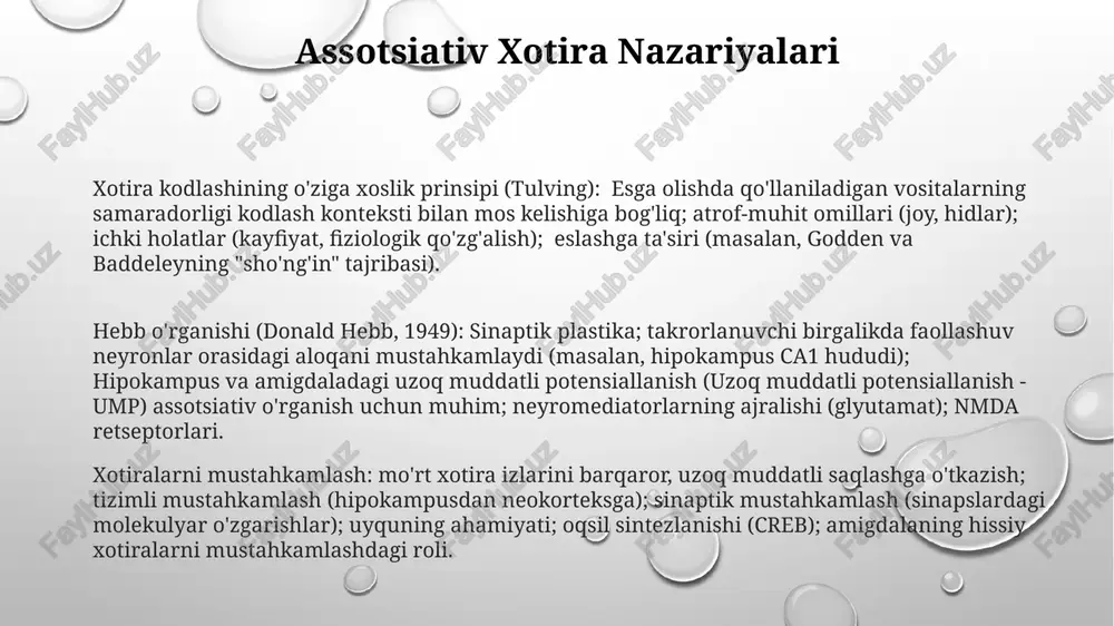 xotira kodlashining o'ziga xoslik prinsipi (tulving) - Page 3