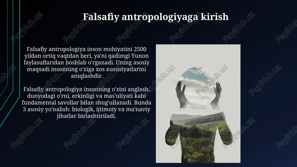 insonfalsafasi - Page 3