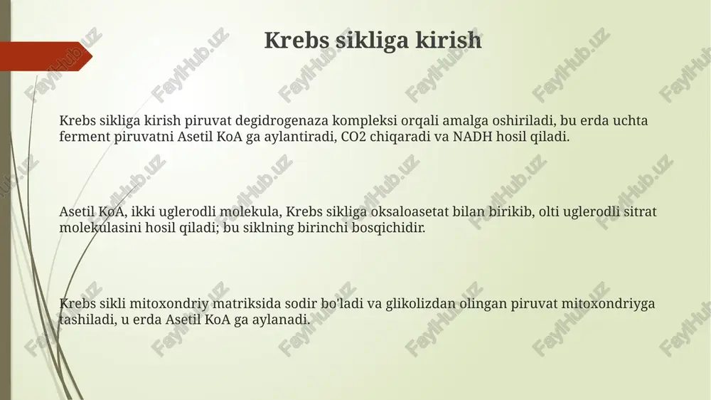 sa uni faollashtiradi. bu energiya zaxiralari orqali boshqaruvning bir misolidir. kaltsiy ionlari (ca2+) izotsitrat dehidrogenaza va α-ketoglutarat dehidrogenaza faolligini oshiradi, bu energiya talabi yuqori bo'lganda siklni tezlashtiradi. sitratning yuqori konsentratsiyasi fosfofruktokinazani ingibirlaydi (glikolizda), shuningdek, atsetil-koa karboksilazani faollashtiradi (yog' kislotalari sintezida), bu ham tartibga solish mexanizmidir. e'tiboringiz uchun rahmat image1.png