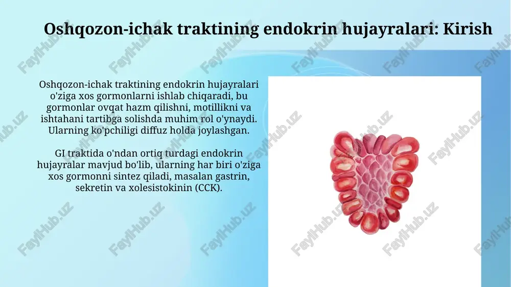 oshqozon-ichak traktining endokrin hujayralari - Page 3