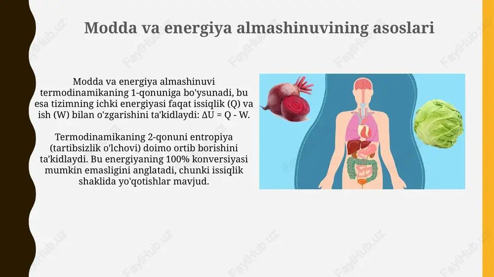 moddalar va energiya almashinuvi - Page 3