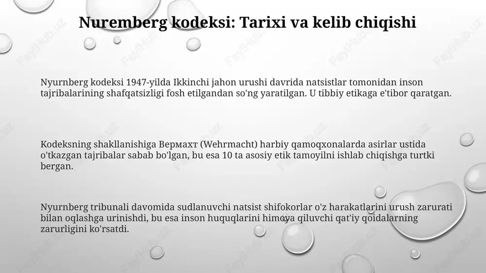 nyunberg kodeksi - Page 3