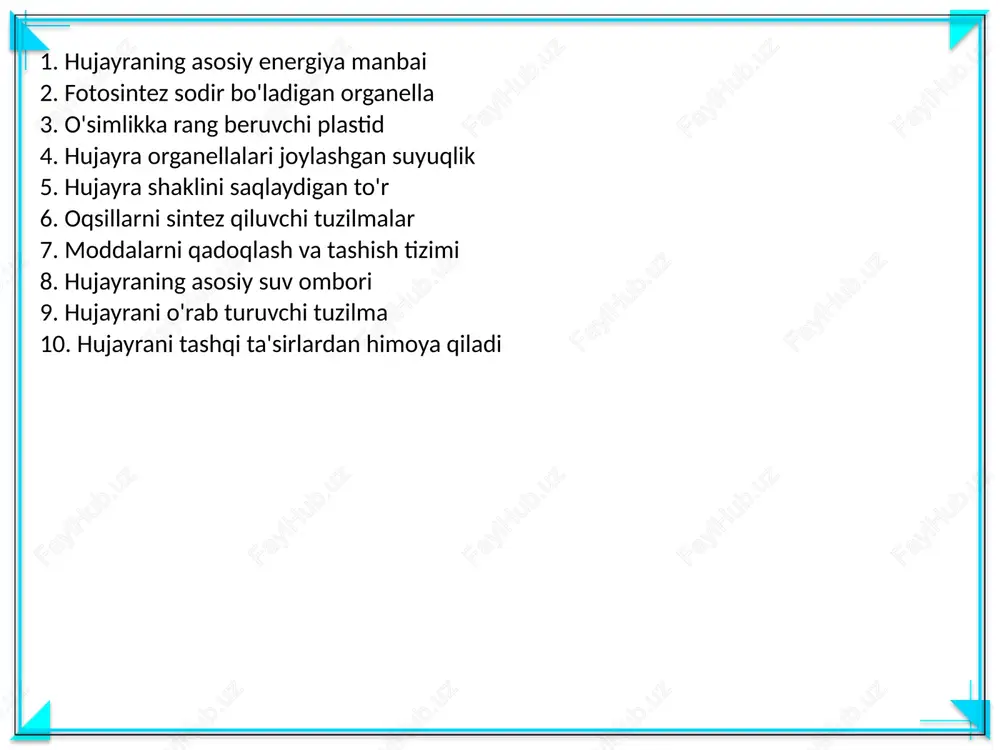 o'simlik huhayrasi - Page 3
