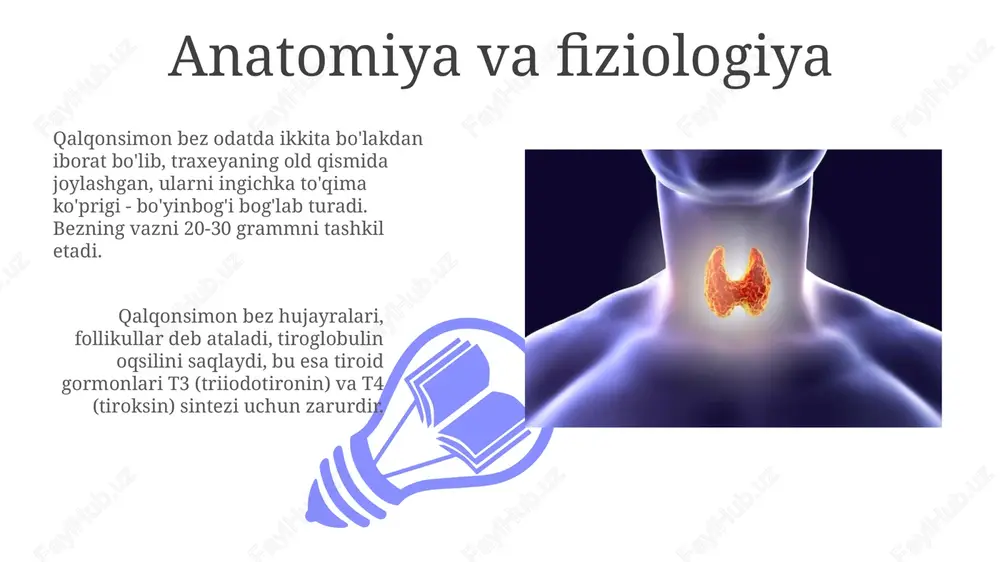 qalqonoldibezi - Page 3