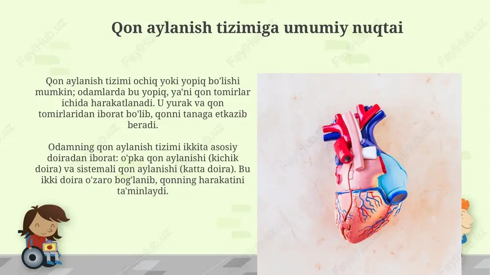 qon aylanish tizimi - Page 3