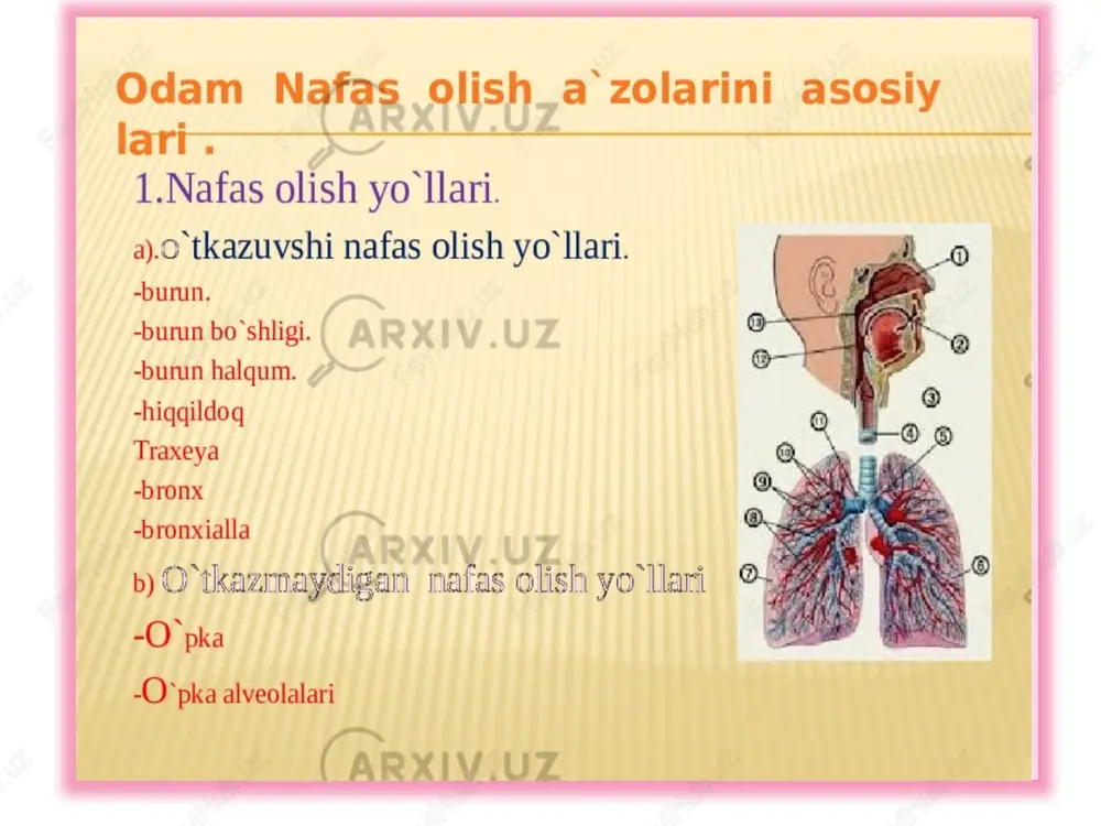 laffuzning aniqligiga va matnning mantiqiy izchilligiga e ’tibor beriladi. 5.she’r o‘qish mashqi. bu mashqda g‘oyaviy-badiiy jihatdan yuksak bo‘lgan uzun misrali she’ring oldin bir misrasi bir nafasda, keyin ikki misrasi bir nafasda va hokazo tarzda o’qiladi. badiiy adabiyotning yuzaga kelish tarixi qanchalik qadimiy bo’lsa, ifodali o‘qish tarixi ham shu qadar uzoq zamonlarga borib taqaladi. mazmundor va ifodali nutq hamma davrlarda ham kishilami o‘ziga jalb etib ijtimoiy hayotda alohida o‘rin egallab kelgan. ifodali o‘qish, avvalo, xalq san’atidir. chunki badiiy adabiyot dastavval xalq og‘zaki ijodi shaklida paydo bo‘lgan. xalq yaratgan asarlarning keng tarqalishida esa og'zaki ijrochilik san’ati muhim ahamiyat kasb etgan qo‘shiq, ertak, doston, qissa kabi og‘zaki adabiyot namunalarini yaratgan xalq namoyondasi (ertakchi, qissaxon, baxshi) bir paytning o‘zida ham ijodkor, ham ijrochi edi. binobarin, asrlar davomida yaratilgan afsona va rivoyatlar, maqol va matallar, qo'shiq va dostonlar, og'zaki ijrochilik, ifodali nutq san’ati tufayligina bizgacha yetib keldi. xalq yaratgan asarlar qanchalik donishmandlik va san’atkorlik mahsuli …