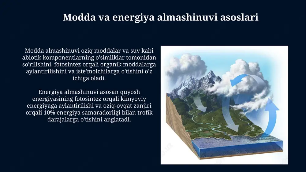 tabiatda modda va energiya almashinuvi - Page 3