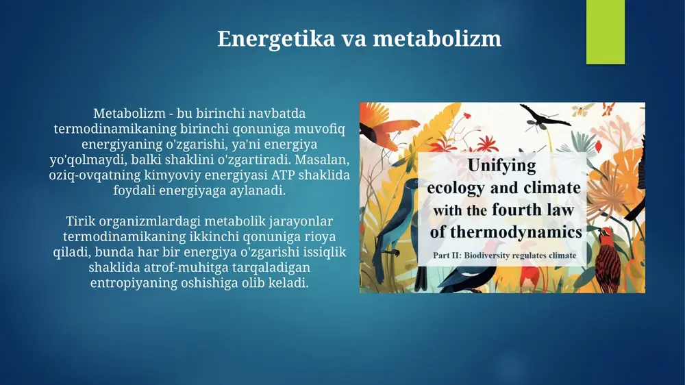 energetika va metabolizm - Page 3