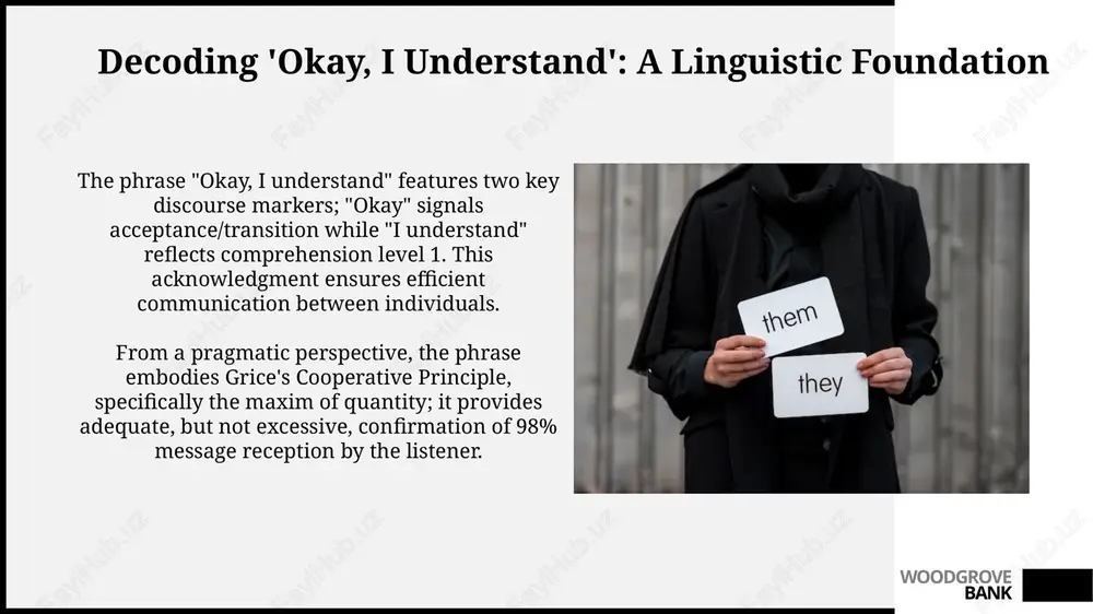 decoding 'okay, i understand': nuances and challenges - Page 3