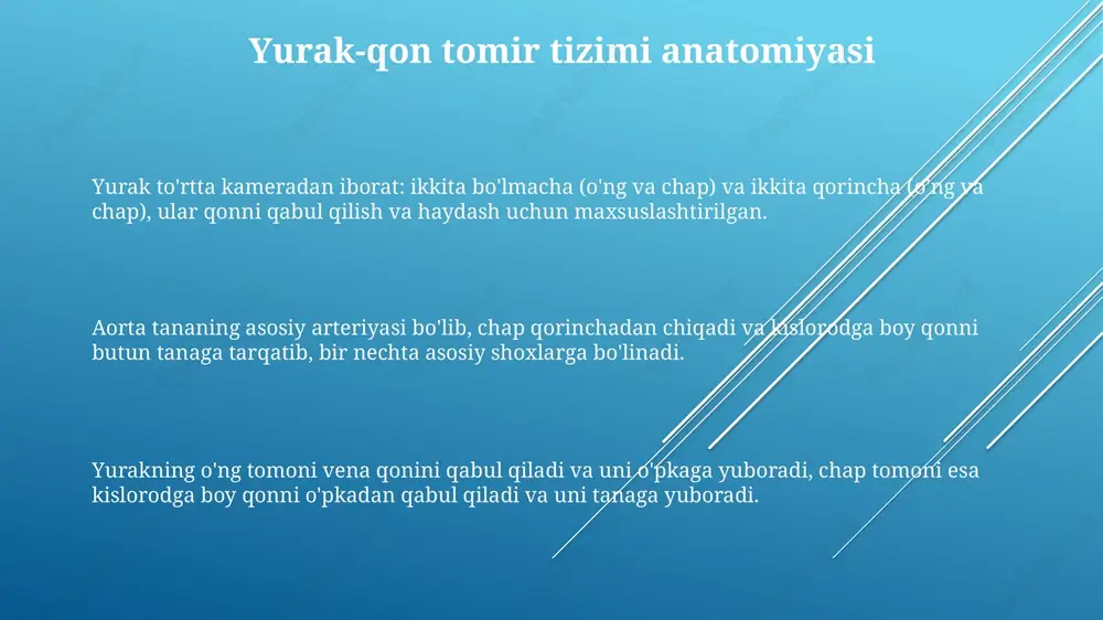 ozuqa moddalarini yetkazib beradi. kichik qon aylanish doirasi o'ng qorinchadan o'pkaga qarab yo'naladi, u yerda qon karbonat angidridni chiqarib tashlaydi va kislorod bilan to'yinadi, so'ngra chap bo'lmachaga qaytadi. portal qon aylanishida qon oshqozon-ichak traktidan jigarga yo'naltiriladi, u yerda toksinlar filtrlanadi va ozuqa moddalari qayta ishlanadi, so'ngra umumiy qon aylanishiga qo'shiladi. limfa tizimi anatomiyasi limfa kapillyarlari teshikli bo'lib, diametri 20 dan 120 mikrongacha bo'lgan, bu ularga katta molekulalarni, masalan, oqsillarni va yallig'lanish qoldiqlarini qabul qilish imkonini beradi. limfa tizimi bir yo'nalishli drenaj tizimi bo'lib, kuniga taxminan 20 litr suyuqlikni qon aylanishiga qaytaradi, to'qimalararo suyuqlikni filtrlaydi va oqsillarni tashishda yordam beradi. limfa tomirlari venalar bilan birga joylashgan bo'lib, ular bir tomonlama klapanlarga ega, bu esa limfa oqimining to'g'ri yo'nalishda, ya'ni periferiyadan markazga qarab harakatlanishini ta'minlaydi. limfa suyuqligi va limfa tomirlari limfa suyuqligi qon plazmasidan hosil bo'lib, tarkibida oqsillar kamroq, lekin yog'lar va limfotsitlar ko'p. u kuniga taxminan 3 litr miqdorda to'qimalardan qonga …