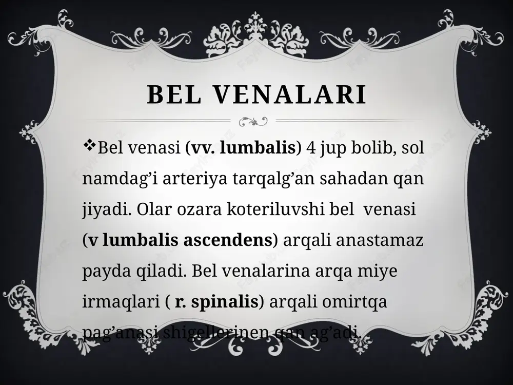 ostqigovekvena (vena cava inferior) - Page 3